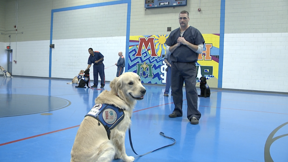 Michigan inmates helping train dogs for people with disabilities - Vimarsana News